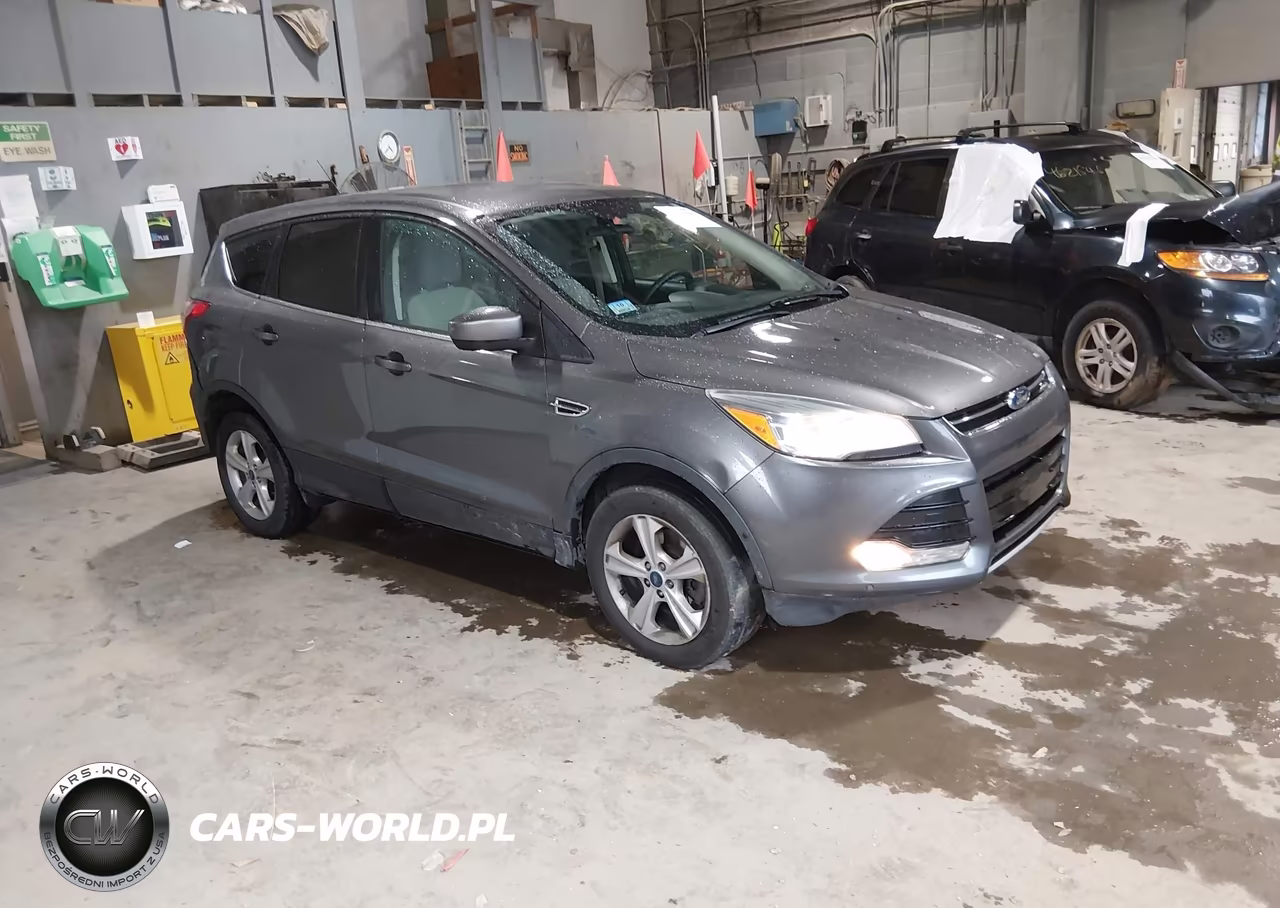 2014 Ford Escape Se