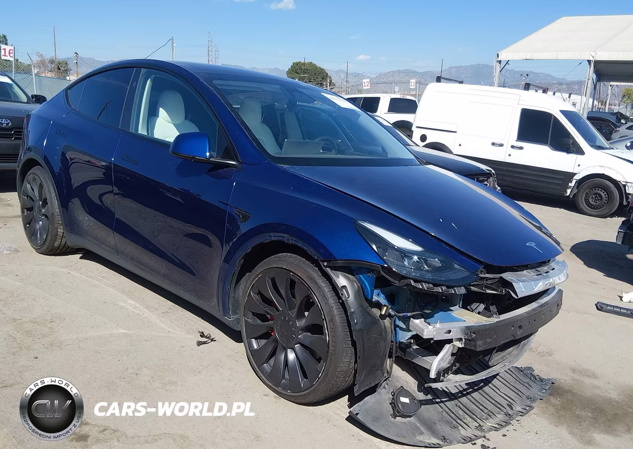 2023 Tesla Model Y Performance Dual Motor All-Wheel Drive VIN:7SAYGDEF0PF959254 - 1