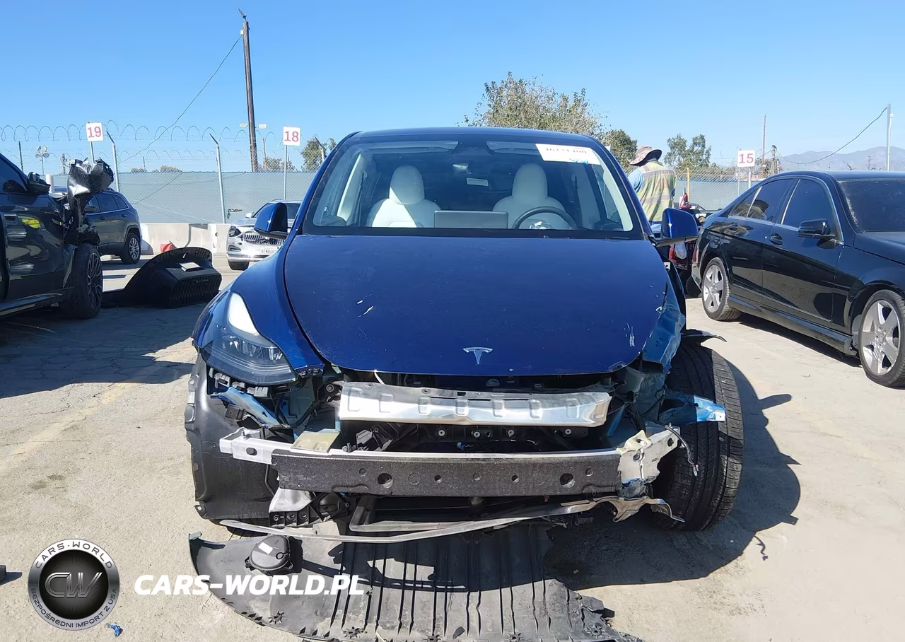 2023 Tesla Model Y Performance Dual Motor All-Wheel Drive VIN:7SAYGDEF0PF959254 - 12