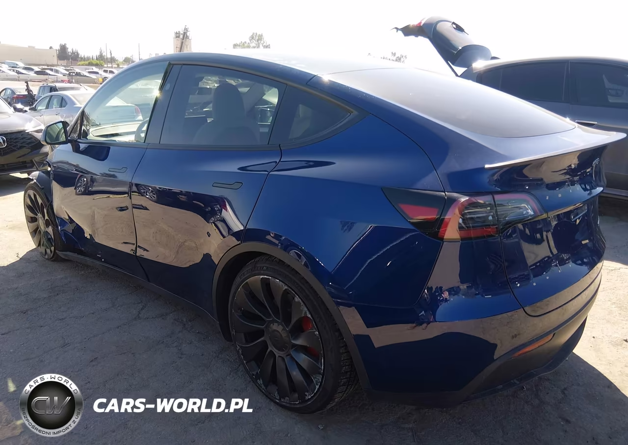 2023 Tesla Model Y Performance Dual Motor All-Wheel Drive VIN:7SAYGDEF0PF959254 - 3