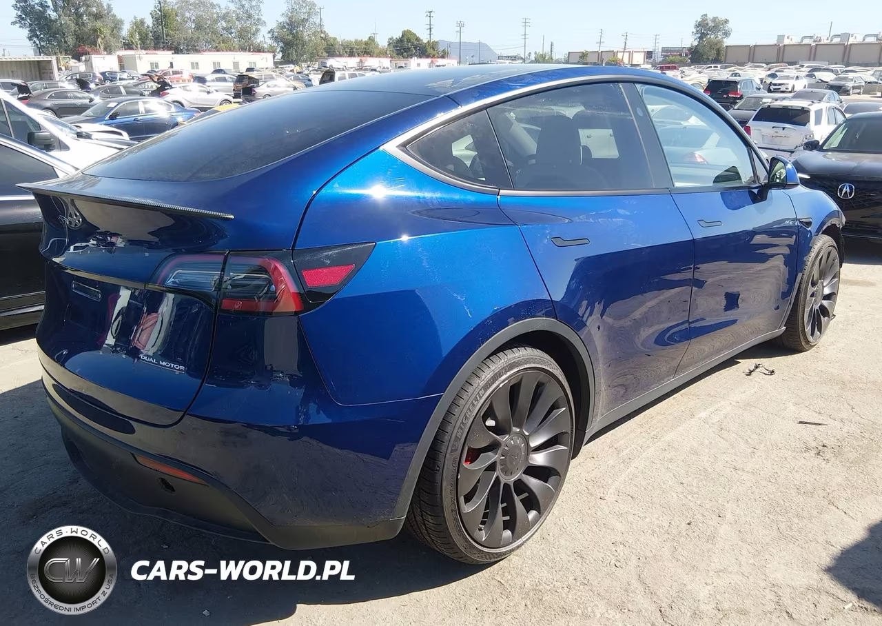 2023 Tesla Model Y Performance Dual Motor All-Wheel Drive VIN:7SAYGDEF0PF959254 - 4