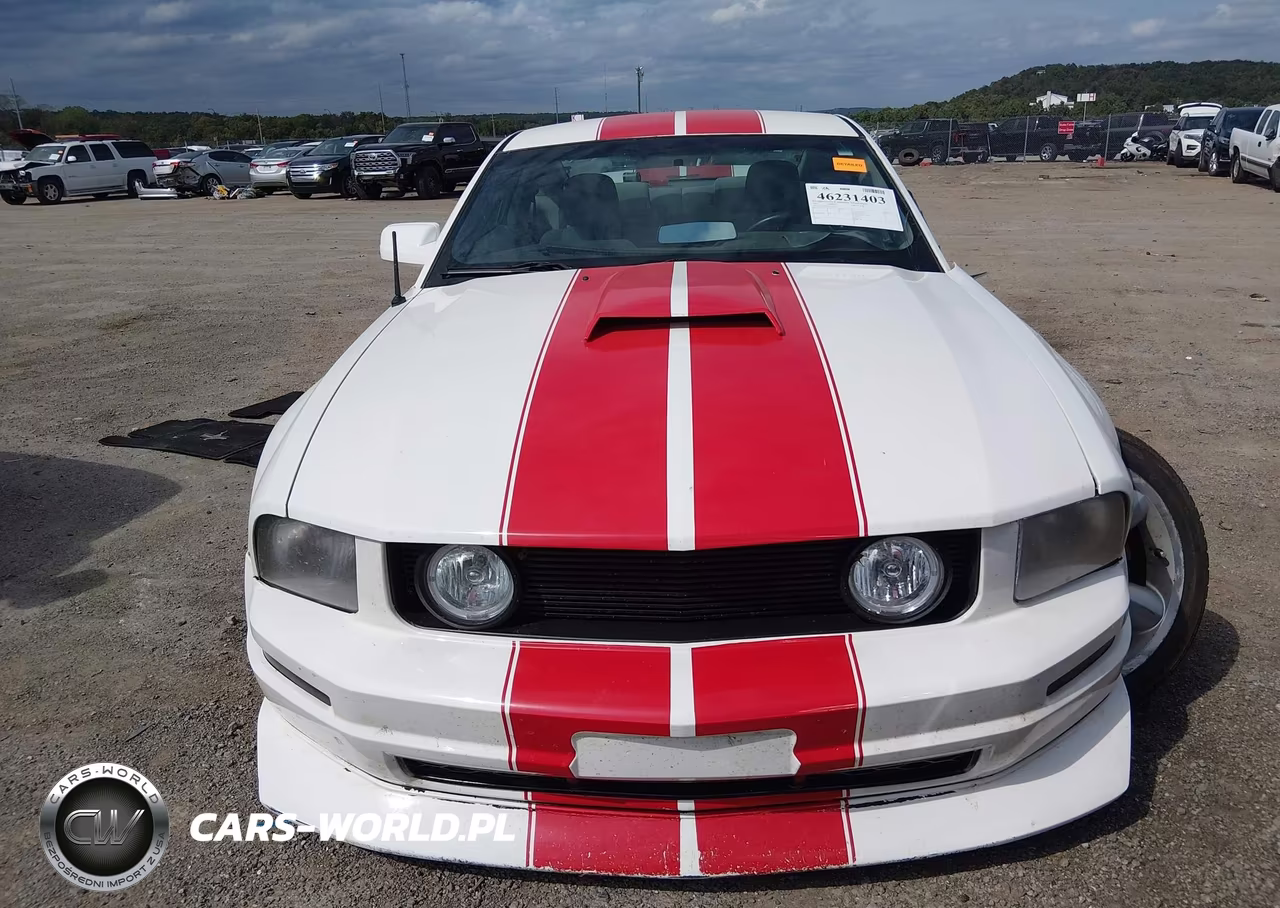 2007 Ford Mustang V6 Deluxe-V6 Premium VIN:1ZVFT80N275294619 - 13