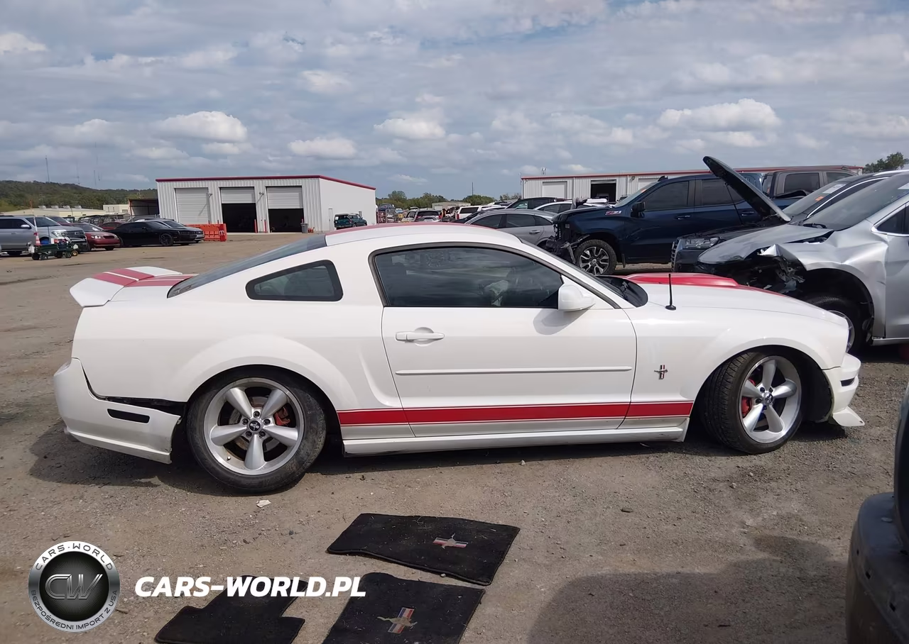 2007 Ford Mustang V6 Deluxe-V6 Premium VIN:1ZVFT80N275294619 - 14