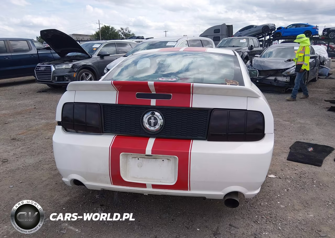 2007 Ford Mustang V6 Deluxe-V6 Premium VIN:1ZVFT80N275294619 - 17