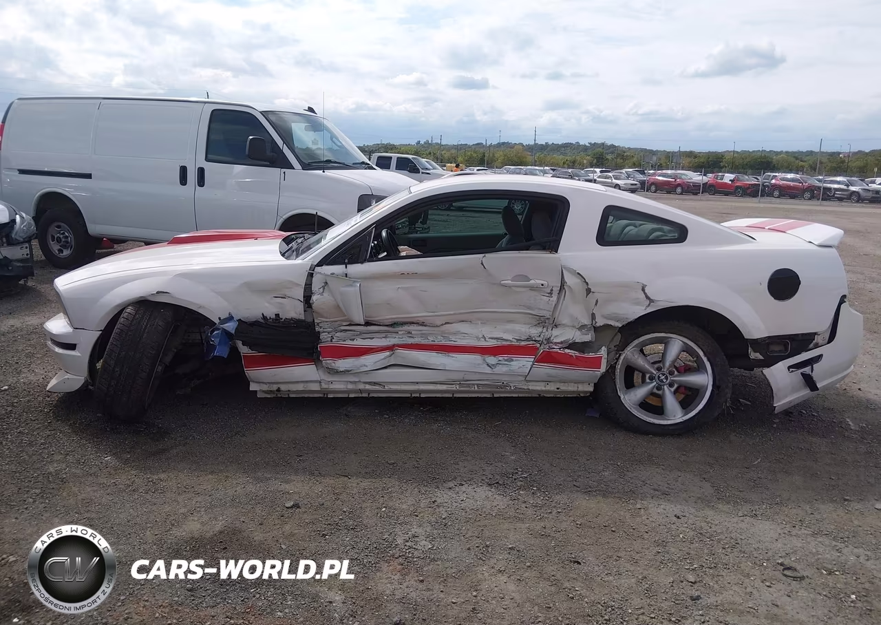 2007 Ford Mustang V6 Deluxe-V6 Premium VIN:1ZVFT80N275294619 - 6