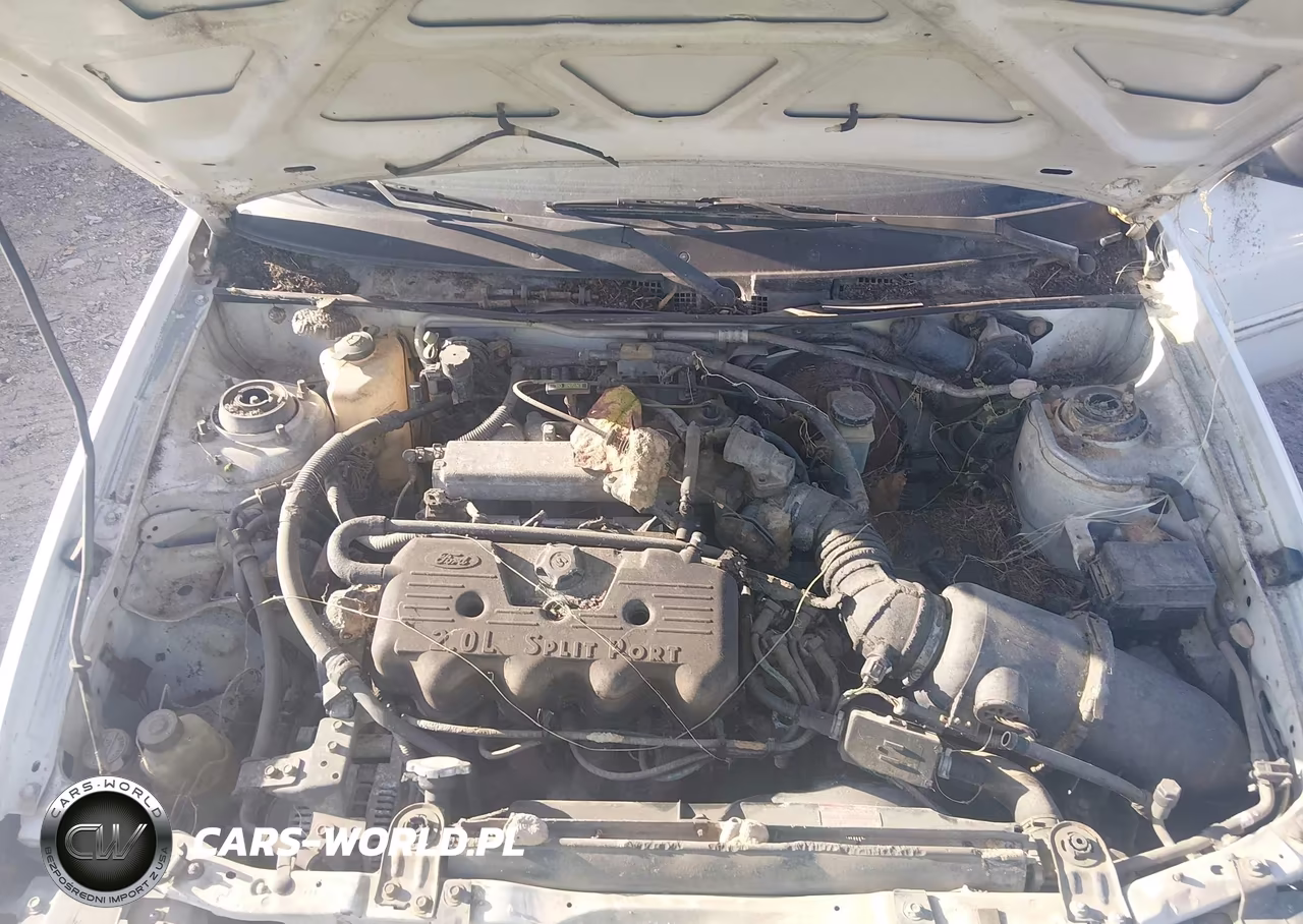 2001 Ford Escort VIN:3FAFP13P61R115181 - 10