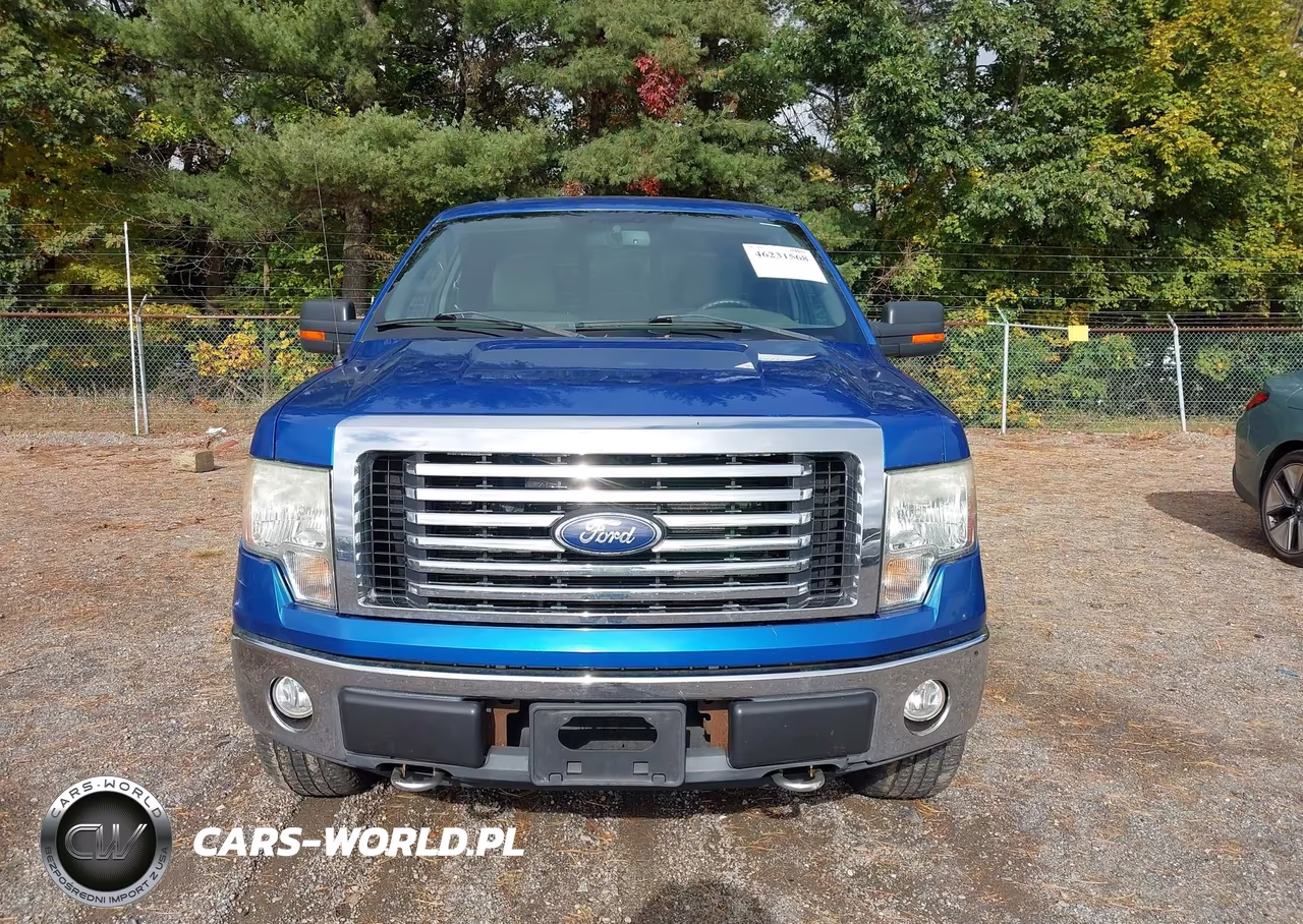2010 Ford F-150 Fx4-Lariat-Xl-Xlt VIN:1FTFX1EV2AFC76646 - 12