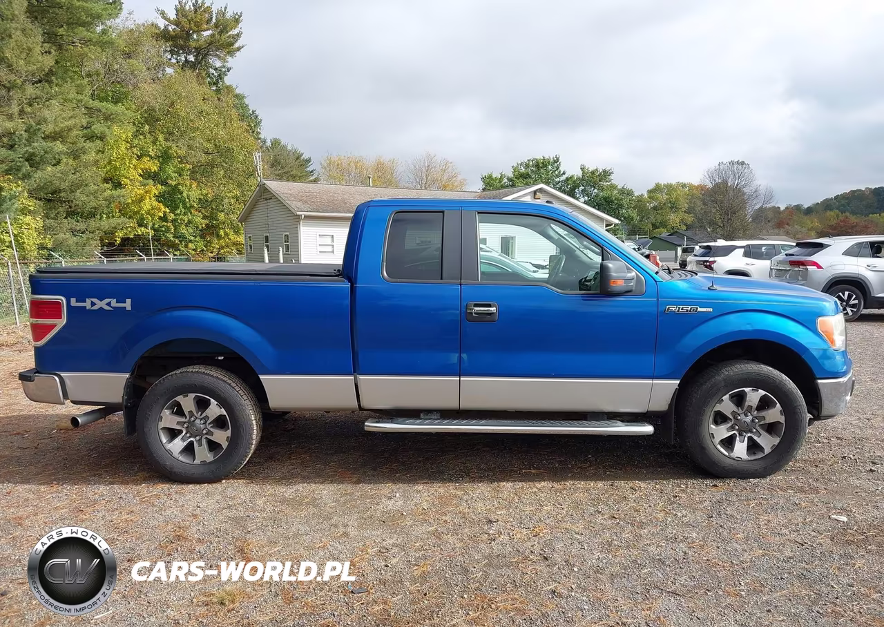 2010 Ford F-150 Fx4-Lariat-Xl-Xlt VIN:1FTFX1EV2AFC76646 - 13