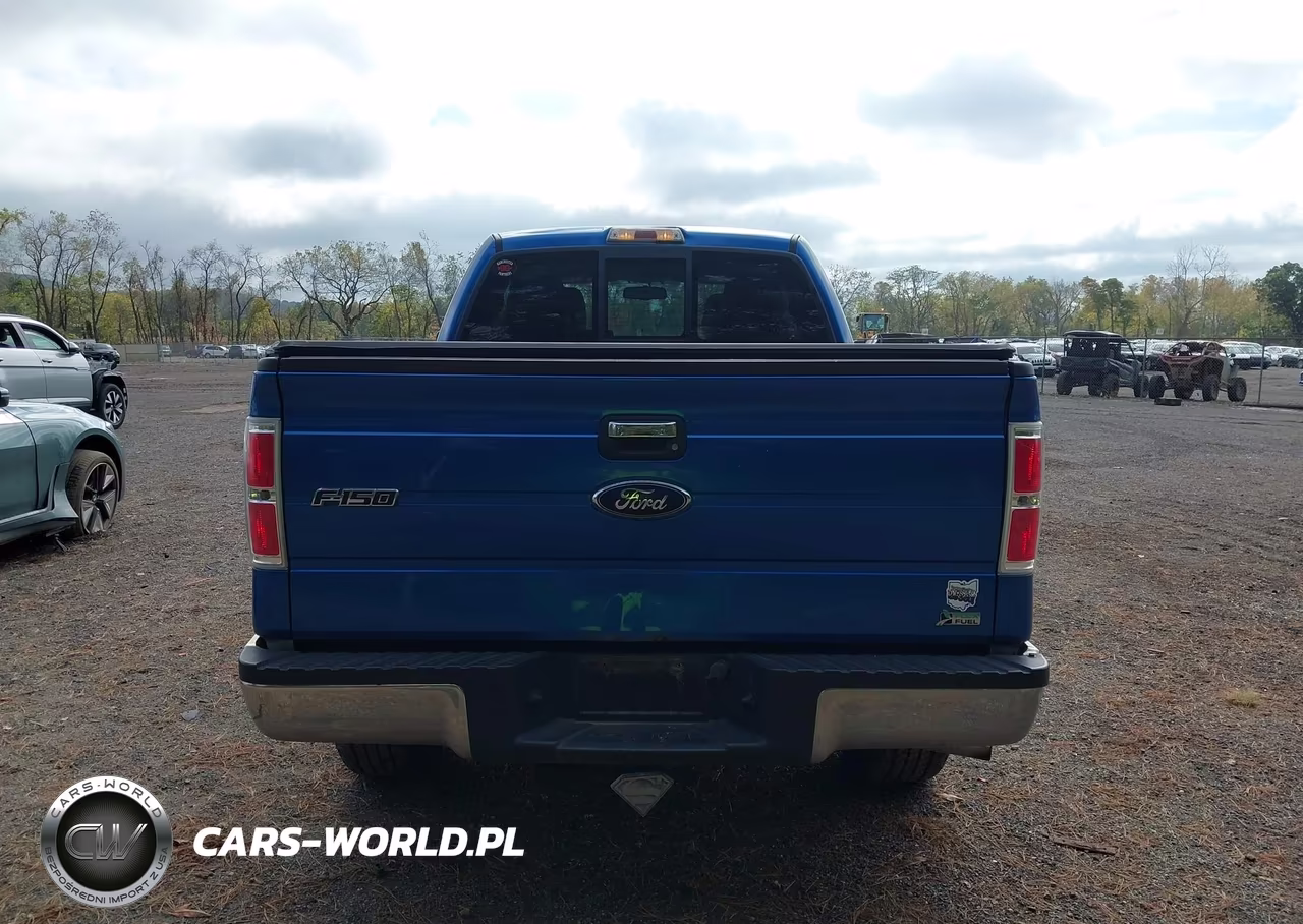 2010 Ford F-150 Fx4-Lariat-Xl-Xlt VIN:1FTFX1EV2AFC76646 - 16