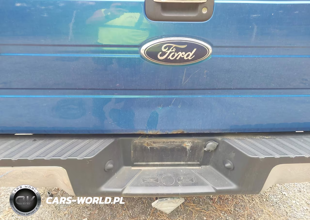 2010 Ford F-150 Fx4-Lariat-Xl-Xlt VIN:1FTFX1EV2AFC76646 - 17