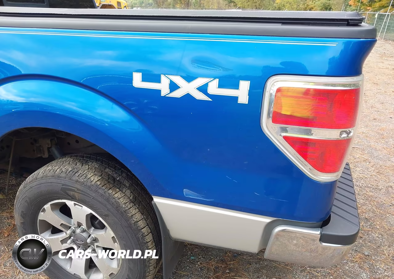 2010 Ford F-150 Fx4-Lariat-Xl-Xlt VIN:1FTFX1EV2AFC76646 - 18