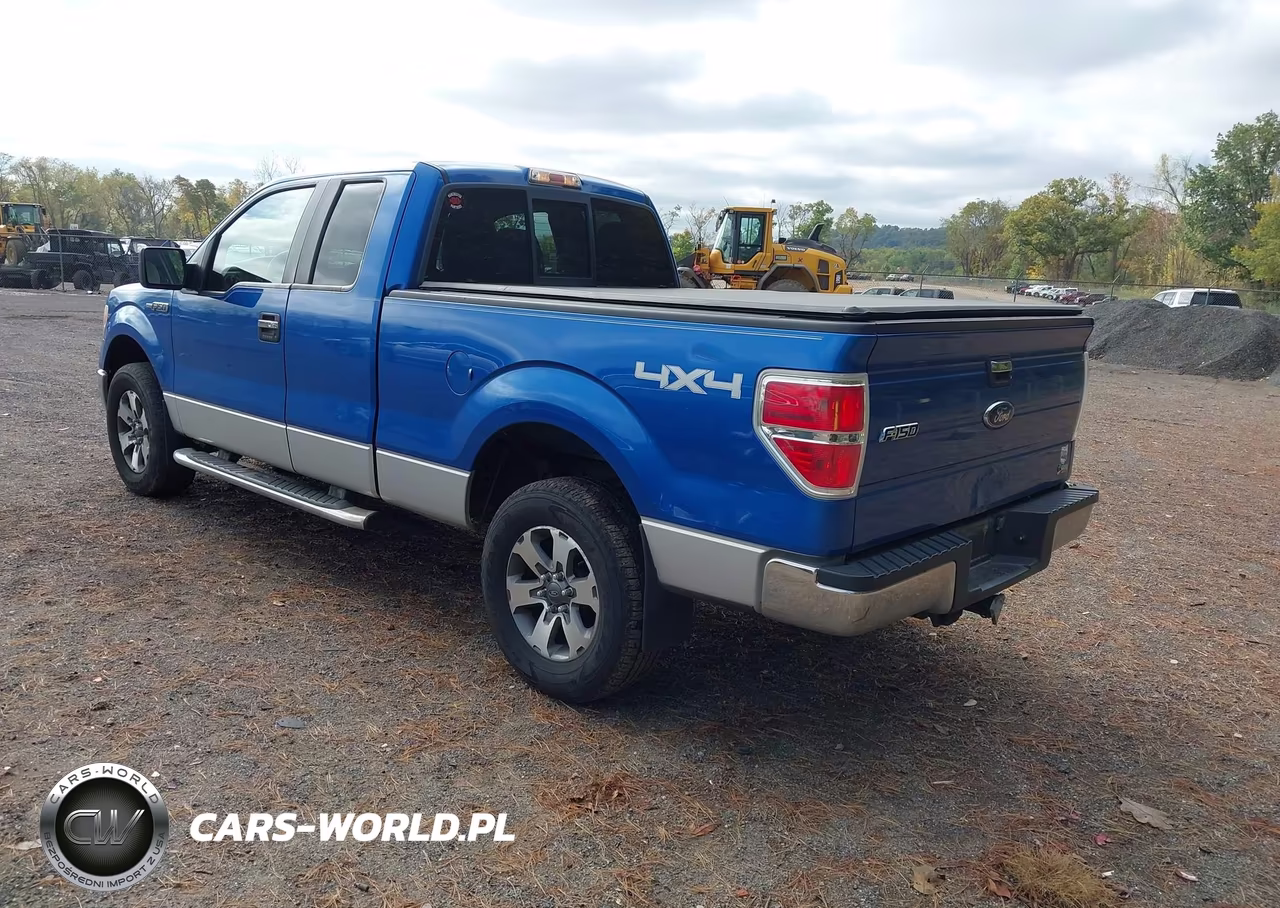 2010 Ford F-150 Fx4-Lariat-Xl-Xlt VIN:1FTFX1EV2AFC76646 - 3