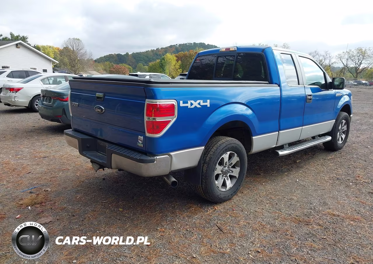 2010 Ford F-150 Fx4-Lariat-Xl-Xlt VIN:1FTFX1EV2AFC76646 - 4