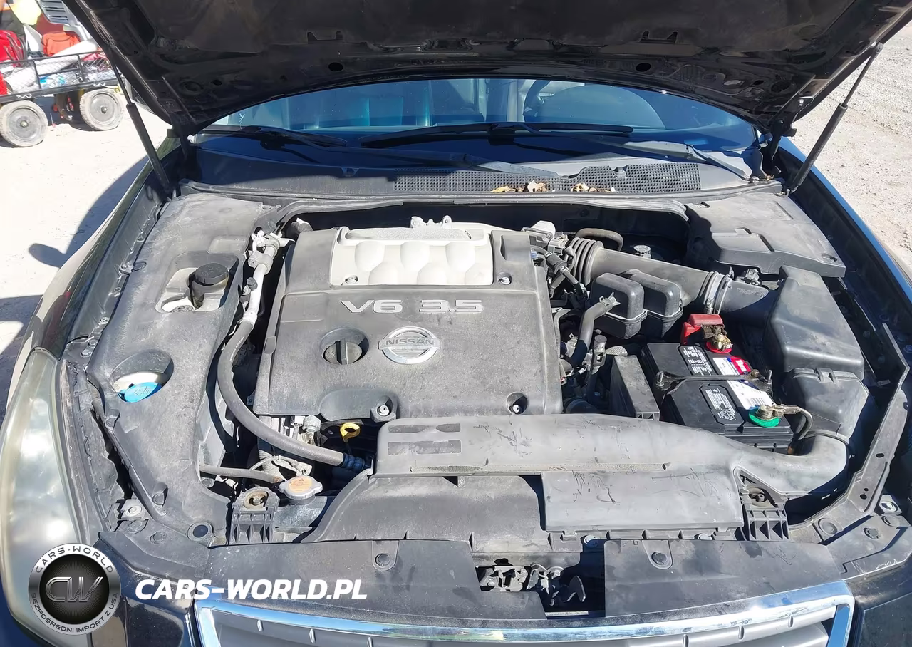 2007 Nissan Maxima 3.5 Se VIN:1N4BA41E97C859318 - 10