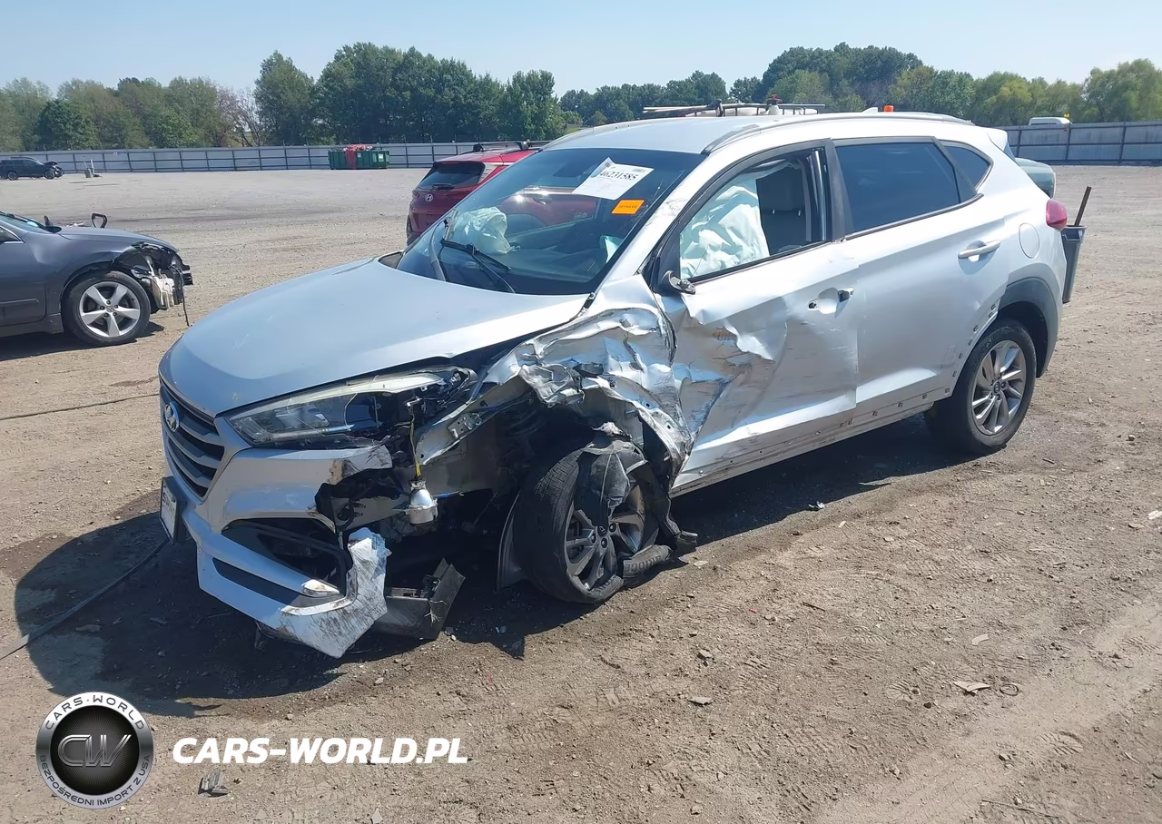 2018 Hyundai Tucson Sel VIN:KM8J3CA43JU697099 - 2