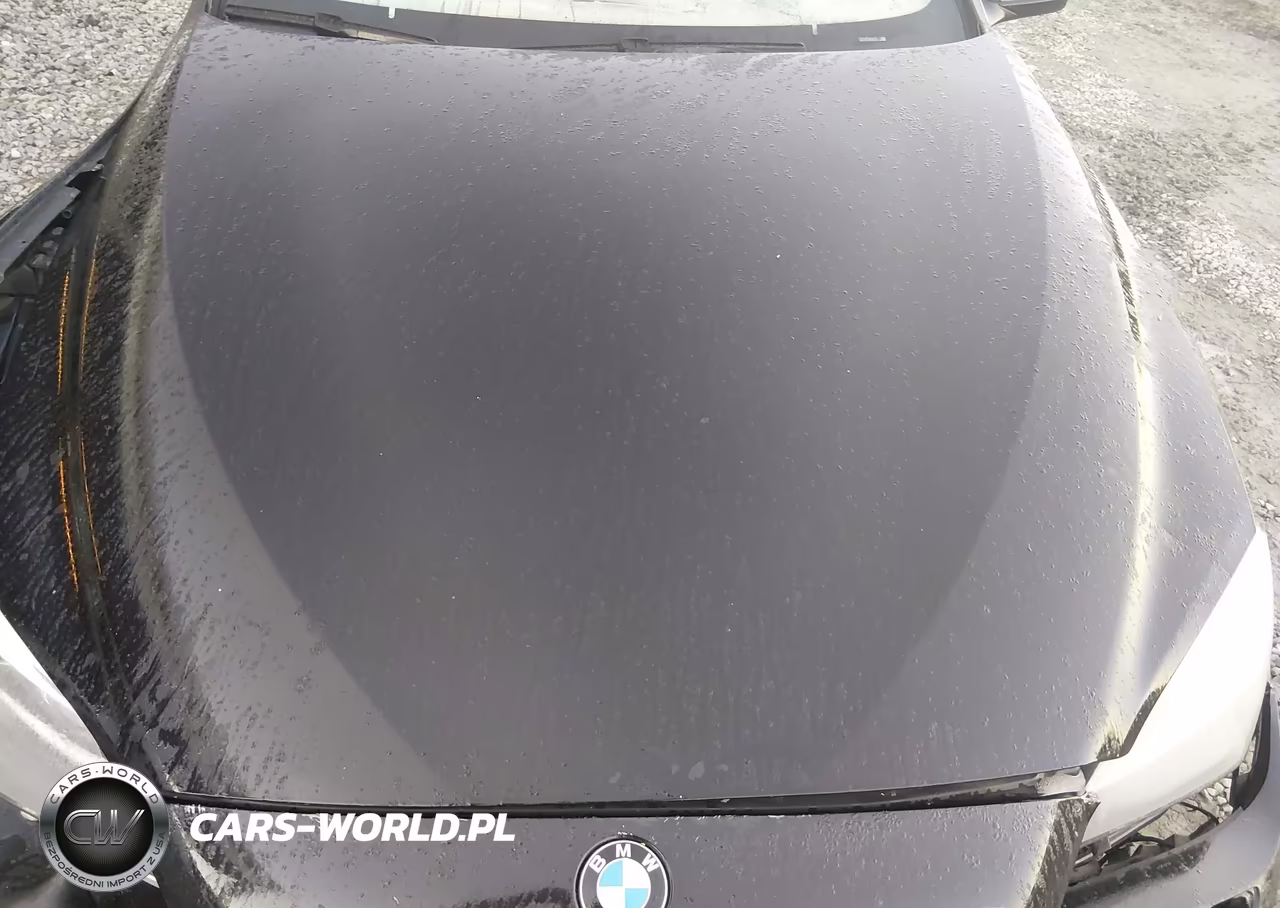 2012 BMW 650I VIN:WBALZ3C51CDL71688 - 10