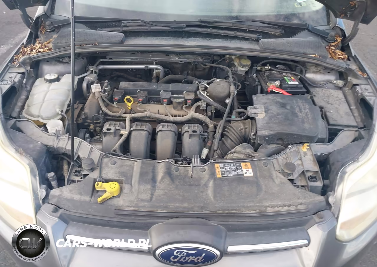 2014 Ford Focus Se VIN:1FADP3F28EL317124 - 10
