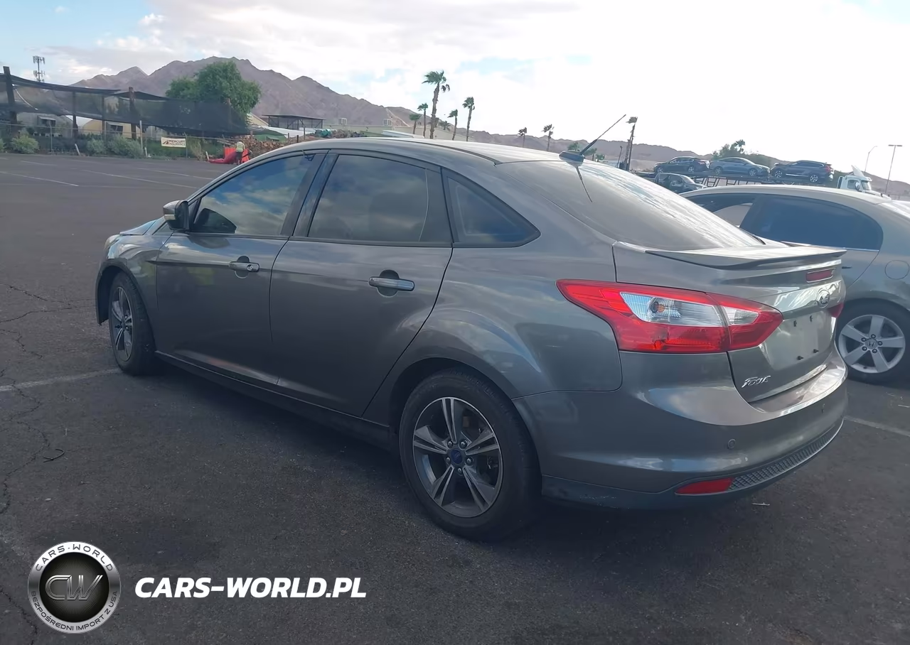 2014 Ford Focus Se VIN:1FADP3F28EL317124 - 3