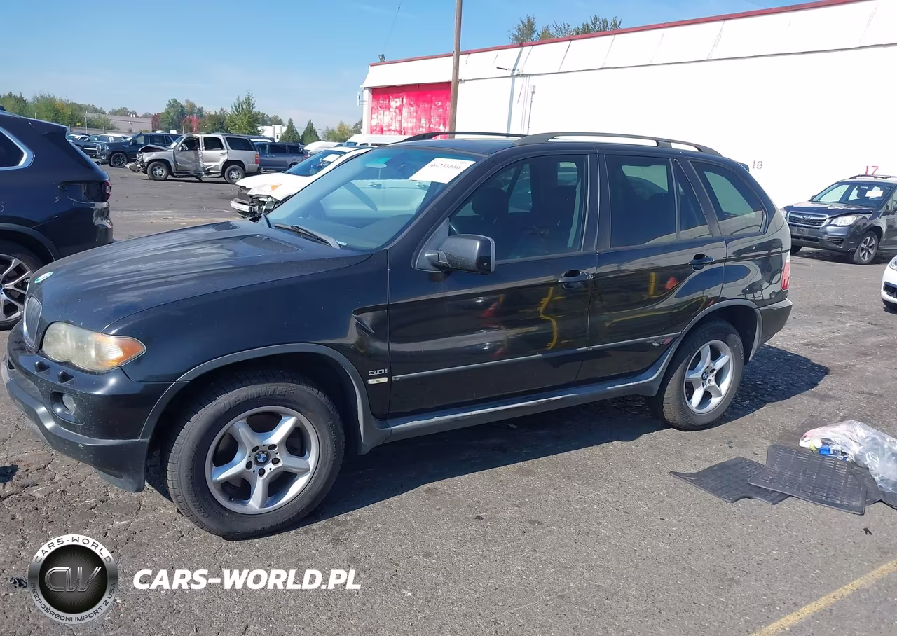 2005 BMW X5 3.0I VIN:5UXFA13515LY15607 - 2