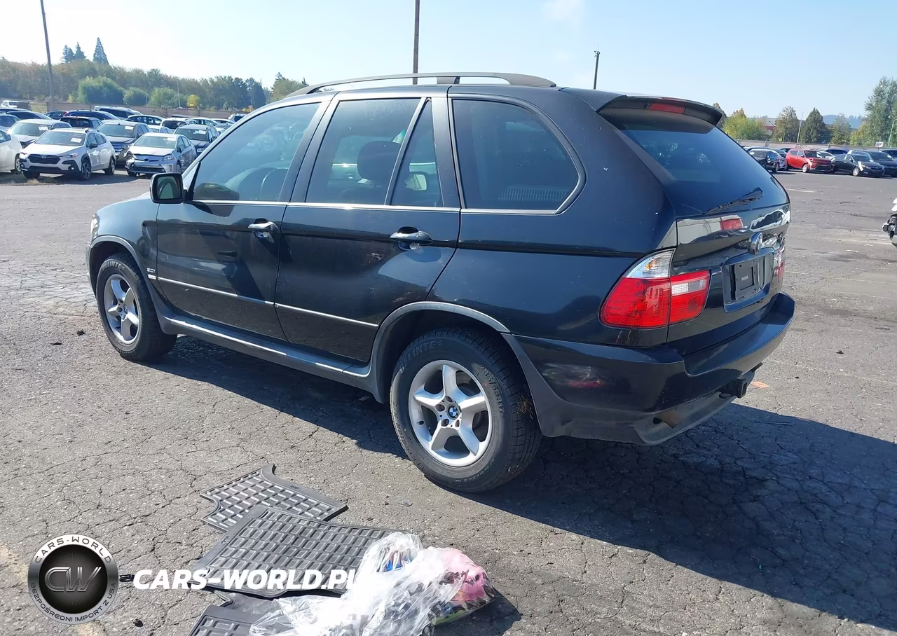 2005 BMW X5 3.0I VIN:5UXFA13515LY15607 - 3