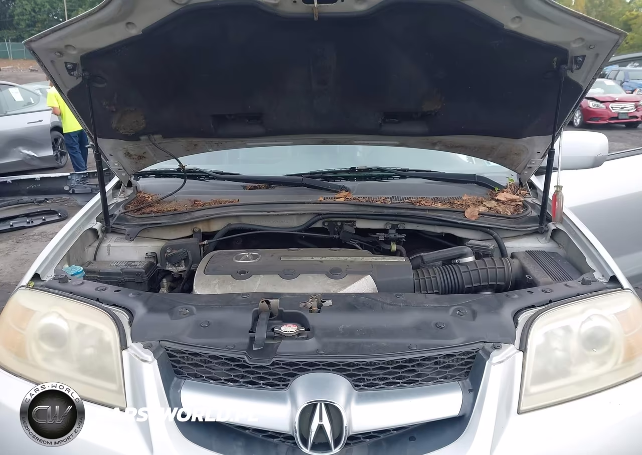 2006 Acura Mdx VIN:2HNYD18916H545946 - 10