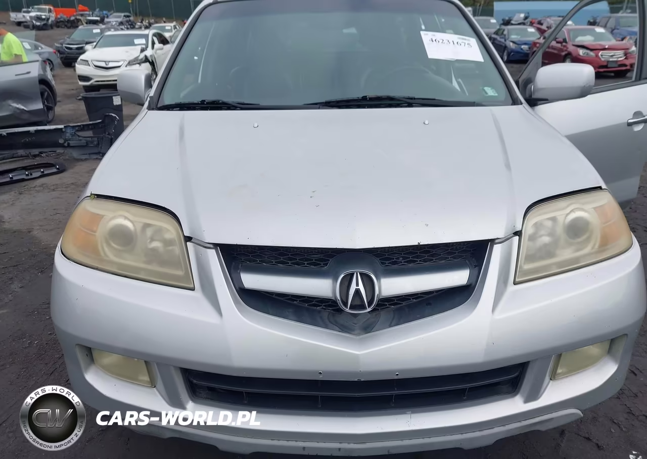 2006 Acura Mdx VIN:2HNYD18916H545946 - 6