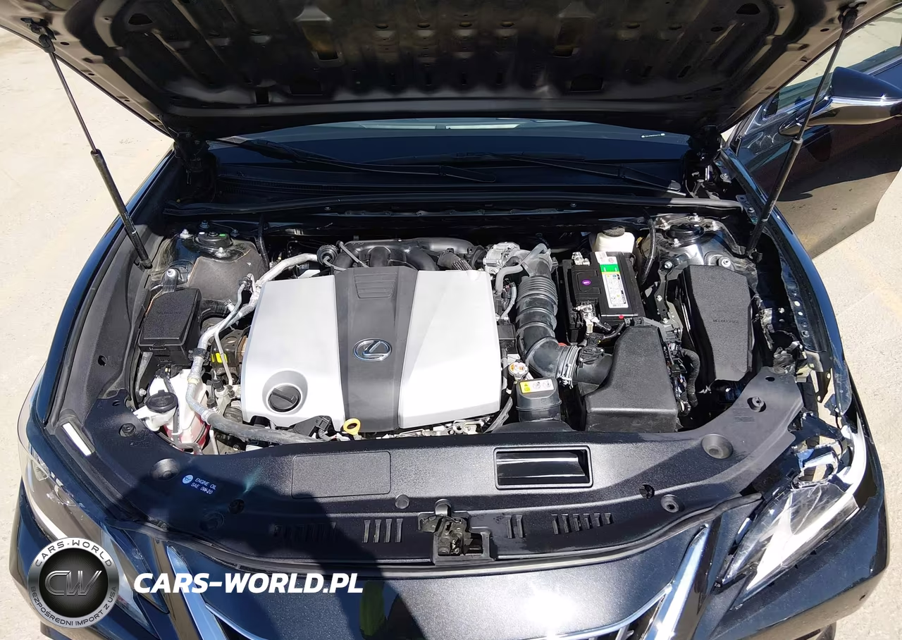 2023 Lexus Es 350 F Sport Handling VIN:58AJZ1B15PU141224 - 10