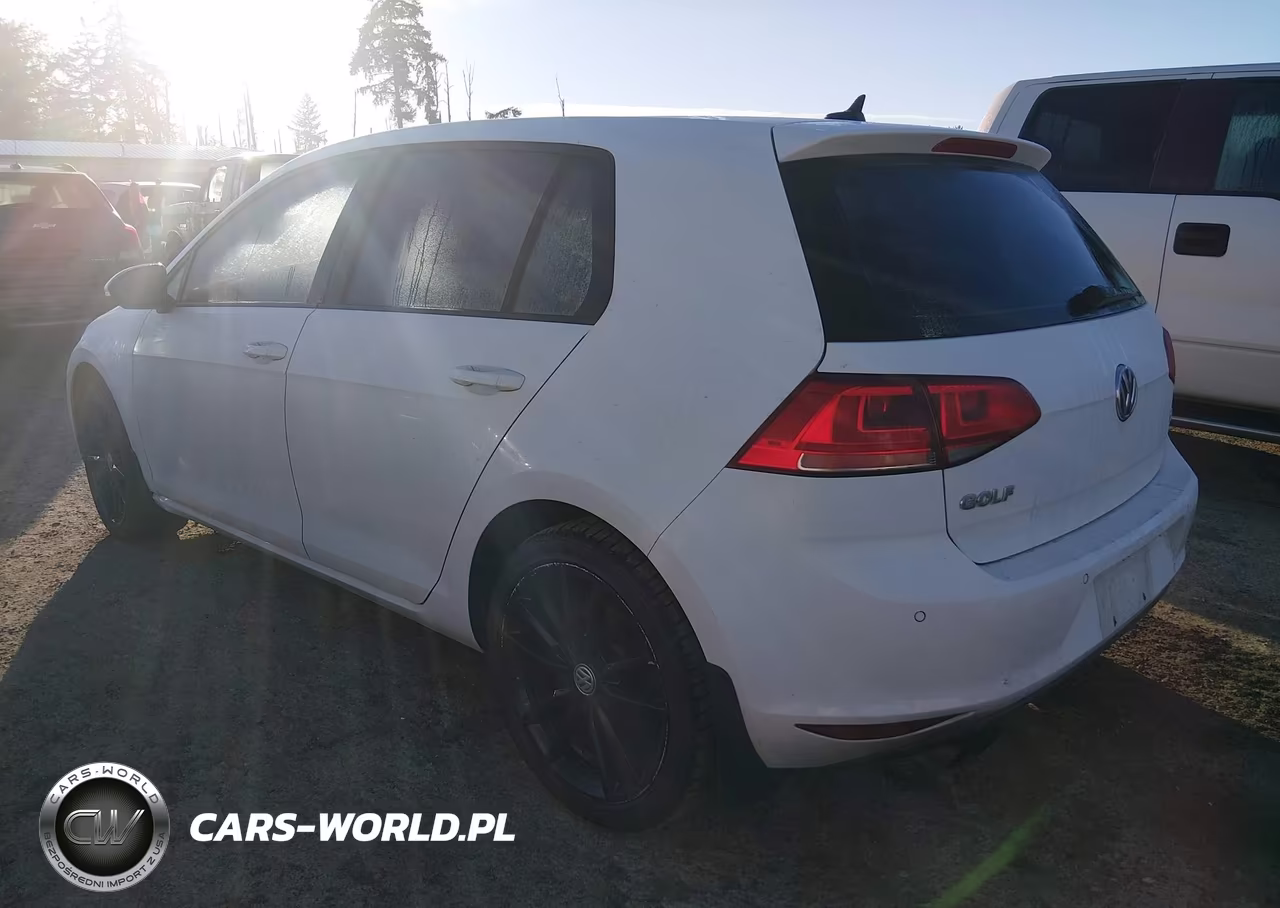 2015 Volkswagen Golf VIN:3VW217AU7FM063650 - 3