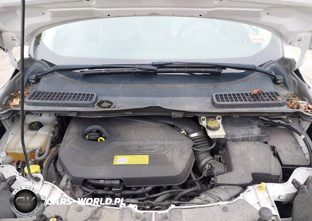 2014 Ford Escape Se VIN:1FMCU9GXXEUB87025 - 10