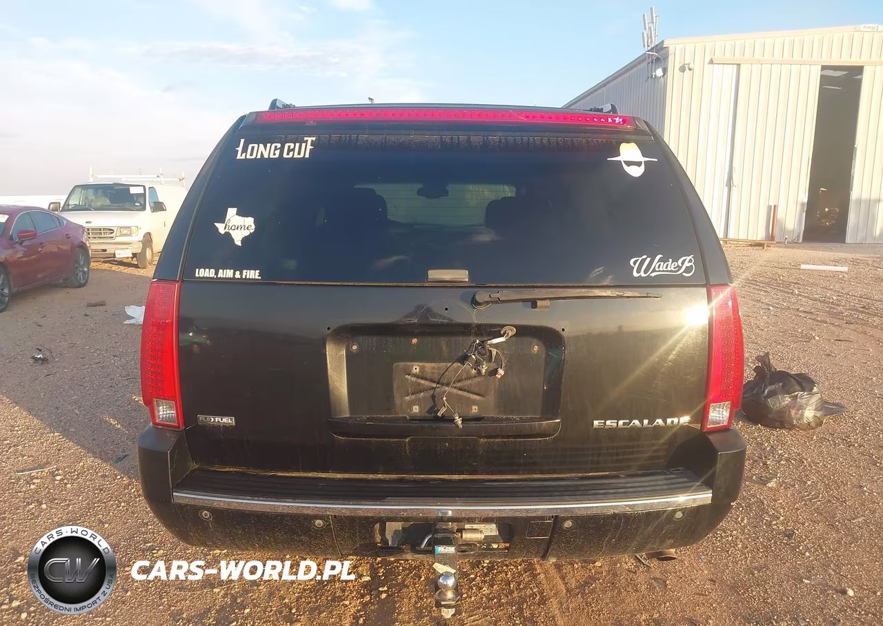 2009 Cadillac Escalade Esv Standard VIN:1GYFK262X9R257677 - 16