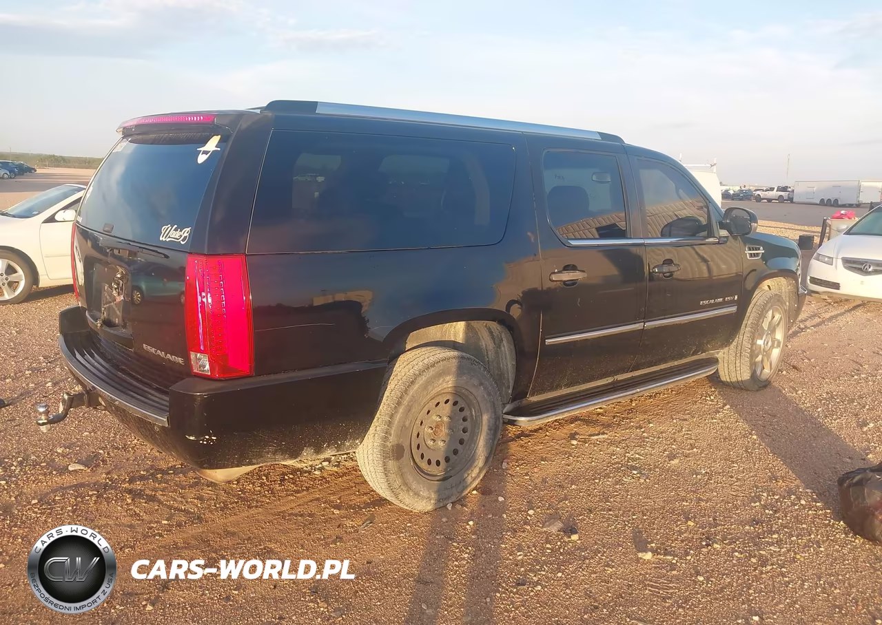 2009 Cadillac Escalade Esv Standard VIN:1GYFK262X9R257677 - 4