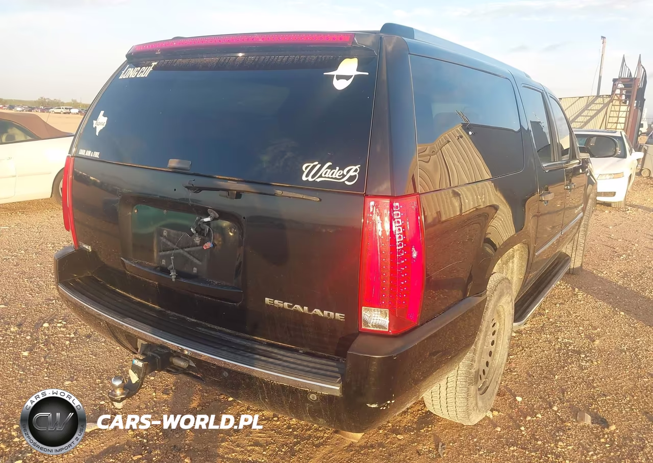 2009 Cadillac Escalade Esv Standard VIN:1GYFK262X9R257677 - 6