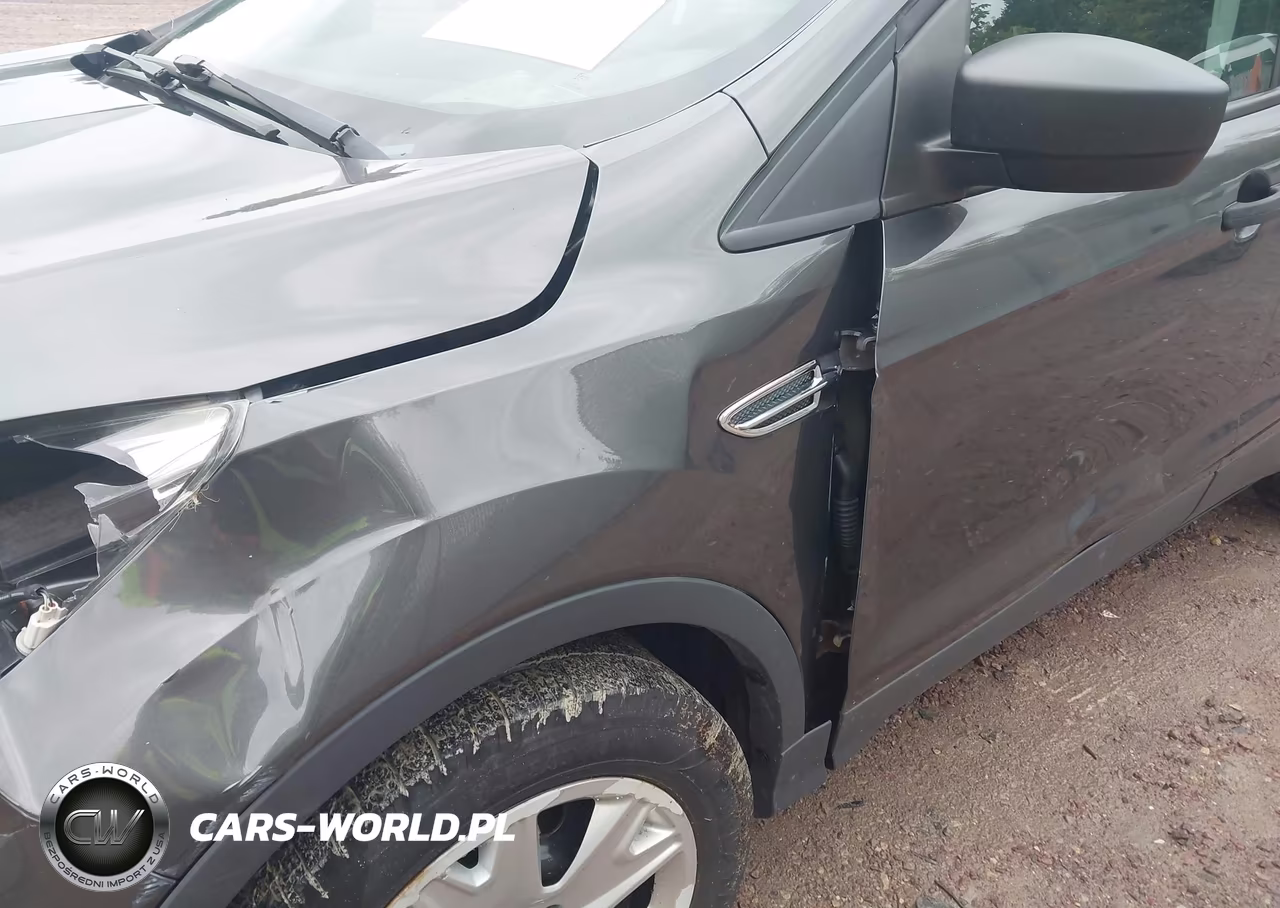 2016 Ford Escape S VIN:1FMCU0F73GUC52989 - 12