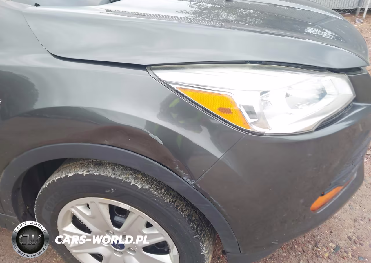 2016 Ford Escape S VIN:1FMCU0F73GUC52989 - 13