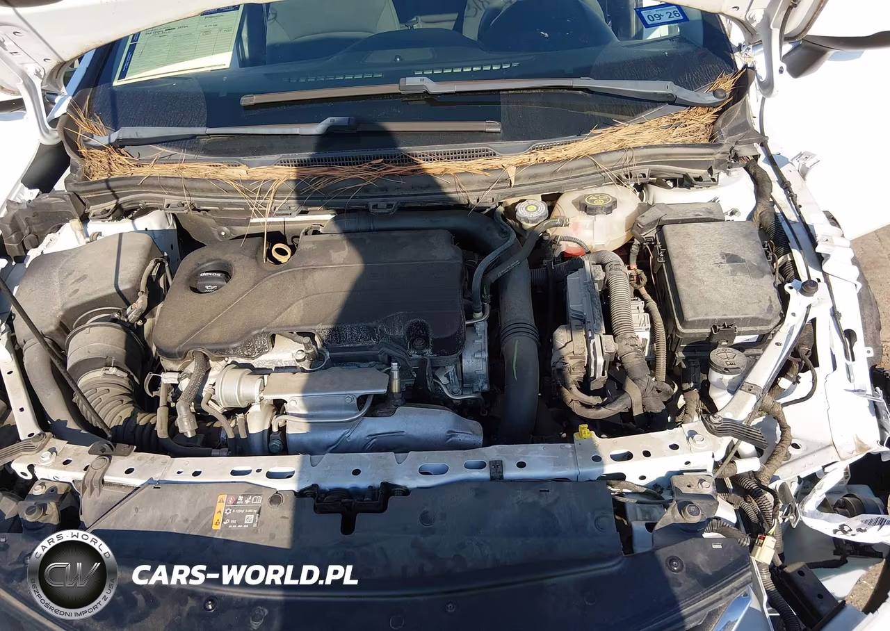 2019 Chevrolet Cruze Lt VIN:1G1BE5SM3K7107022 - 10
