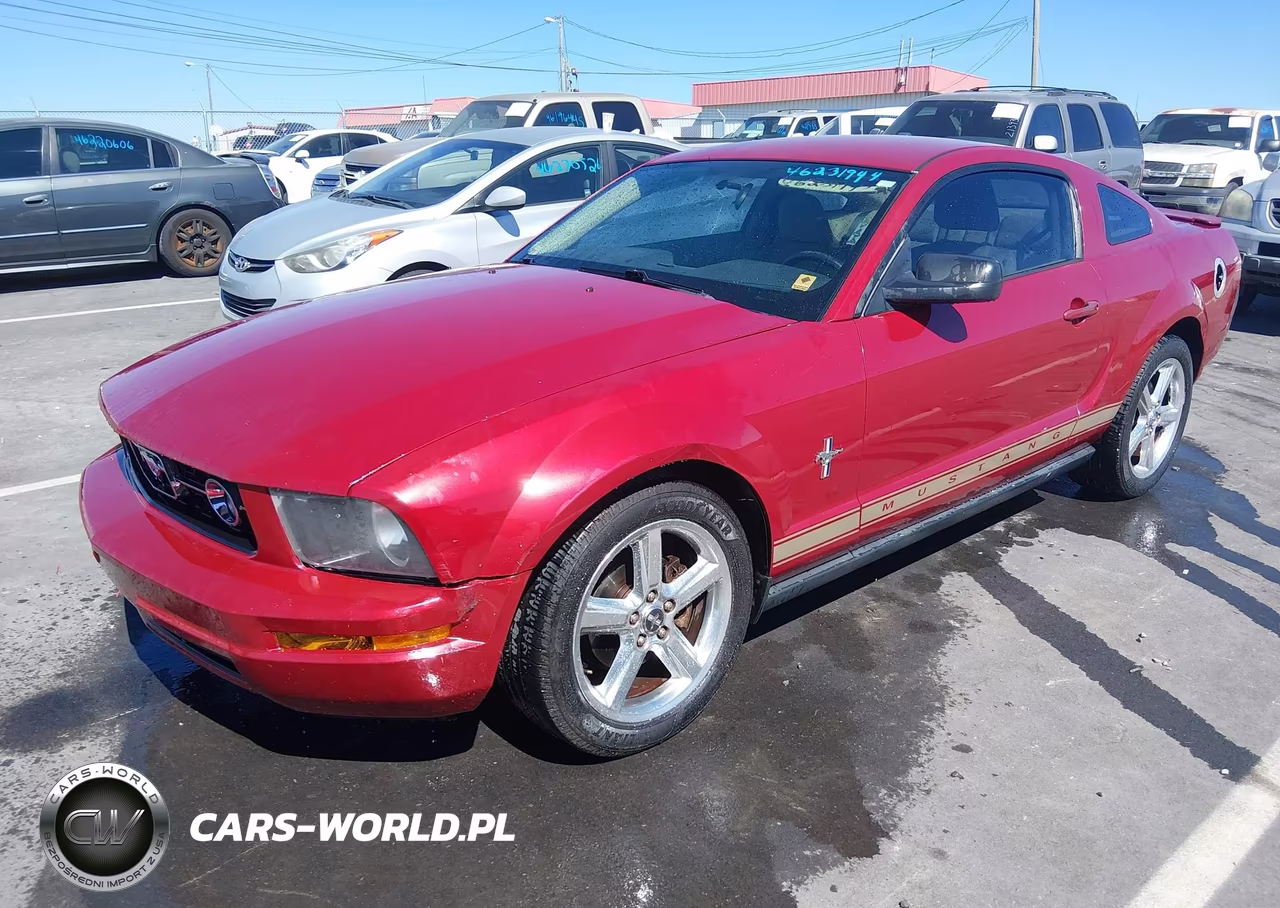 2008 Ford Mustang V6 Deluxe-V6 Premium VIN:1ZVHT80N585107660 - 2
