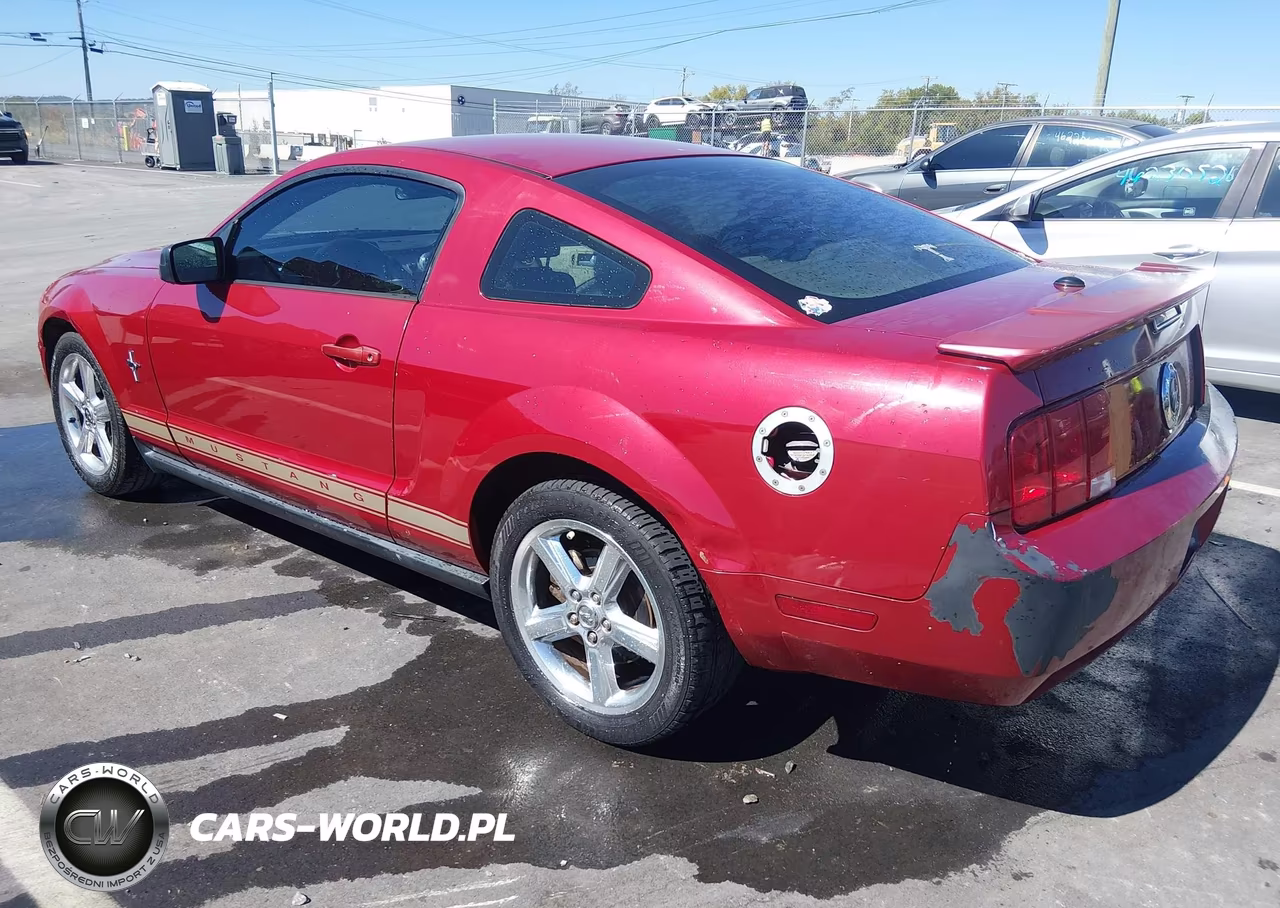 2008 Ford Mustang V6 Deluxe-V6 Premium VIN:1ZVHT80N585107660 - 3