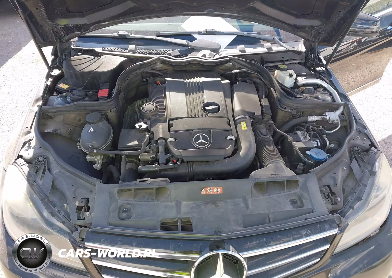 2014 Mercedes-Benz C 250 Sport VIN:WDDGF4HB1EG223792 - 10