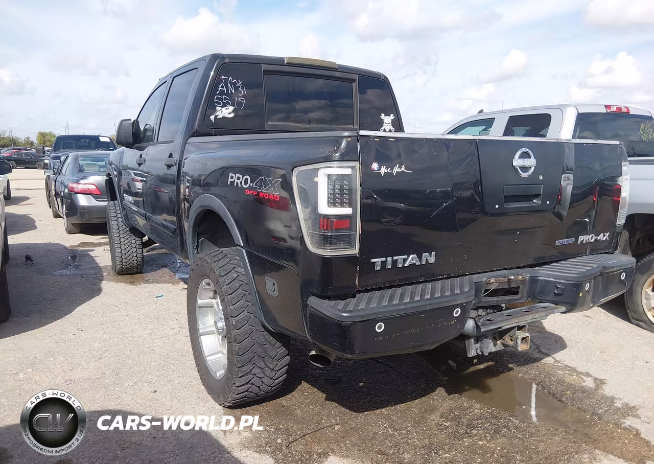 2010 Nissan Titan Pro-4X VIN:1N6BA0EC0AN315519 - 3