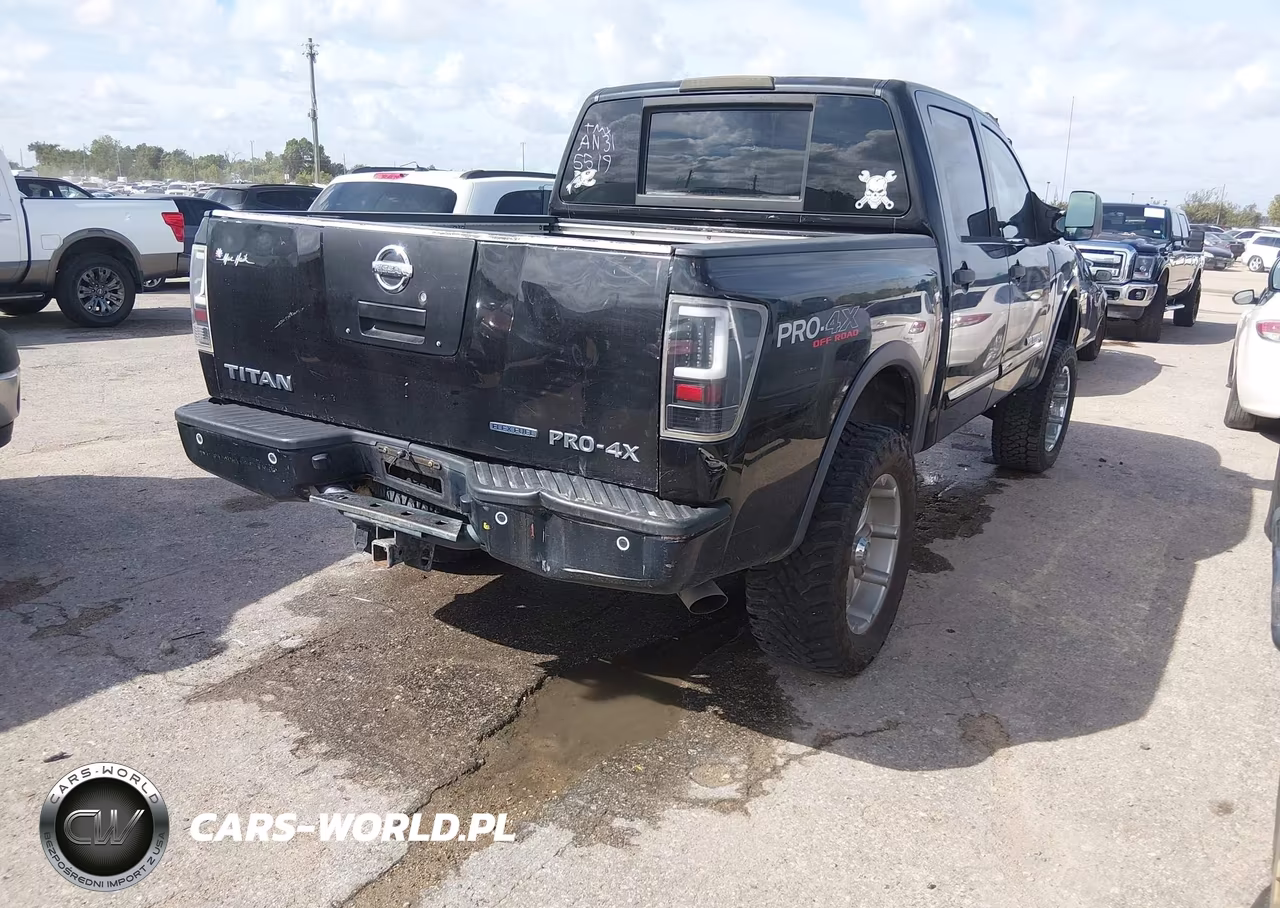 2010 Nissan Titan Pro-4X VIN:1N6BA0EC0AN315519 - 4