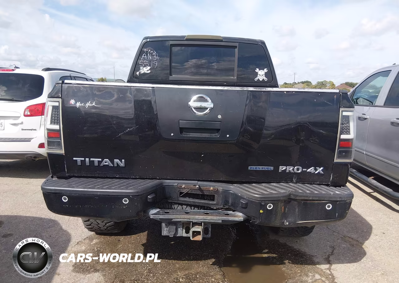 2010 Nissan Titan Pro-4X VIN:1N6BA0EC0AN315519 - 6