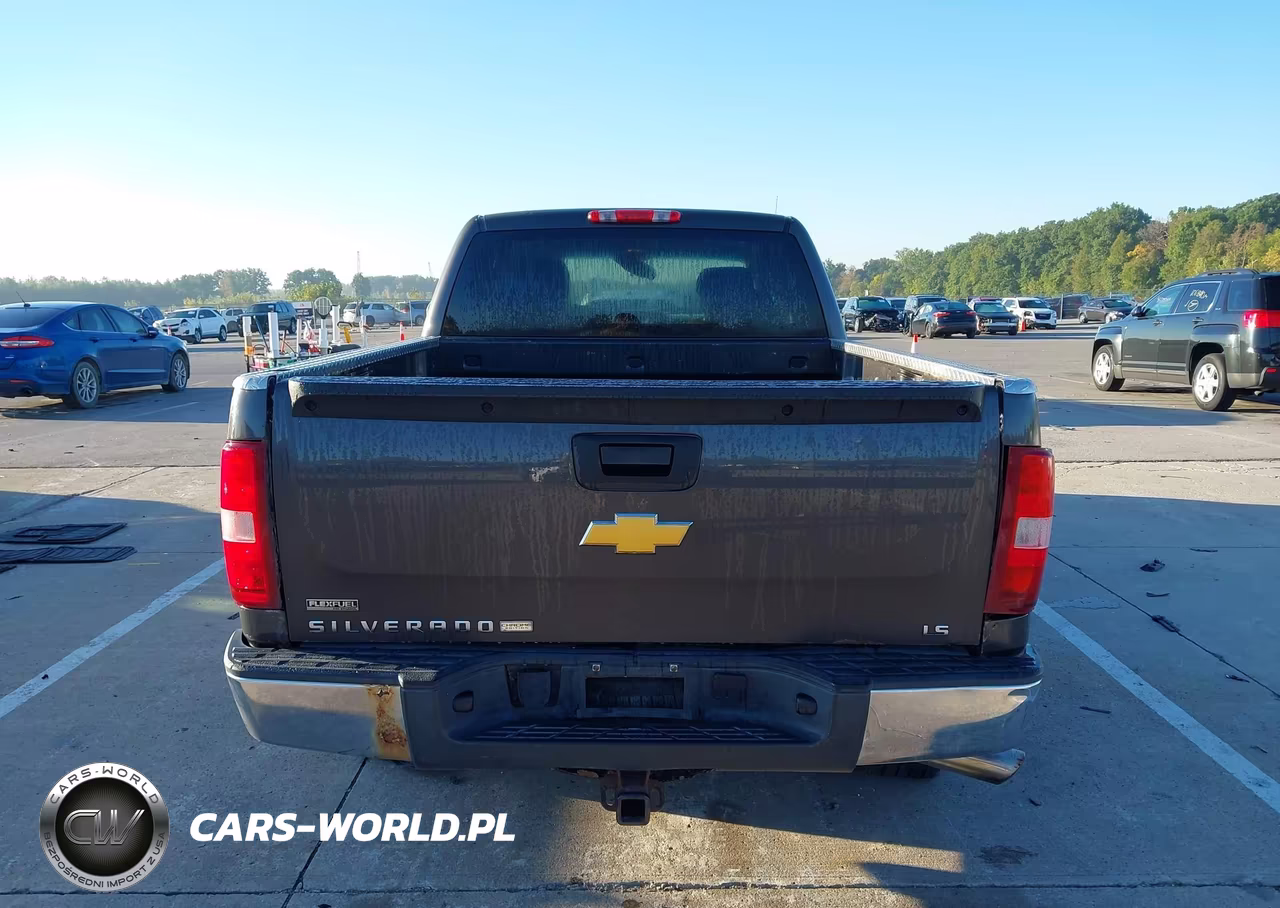 2010 Chevrolet Silverado 1500 Ls VIN:1GCSKREA3AZ183450 - 16