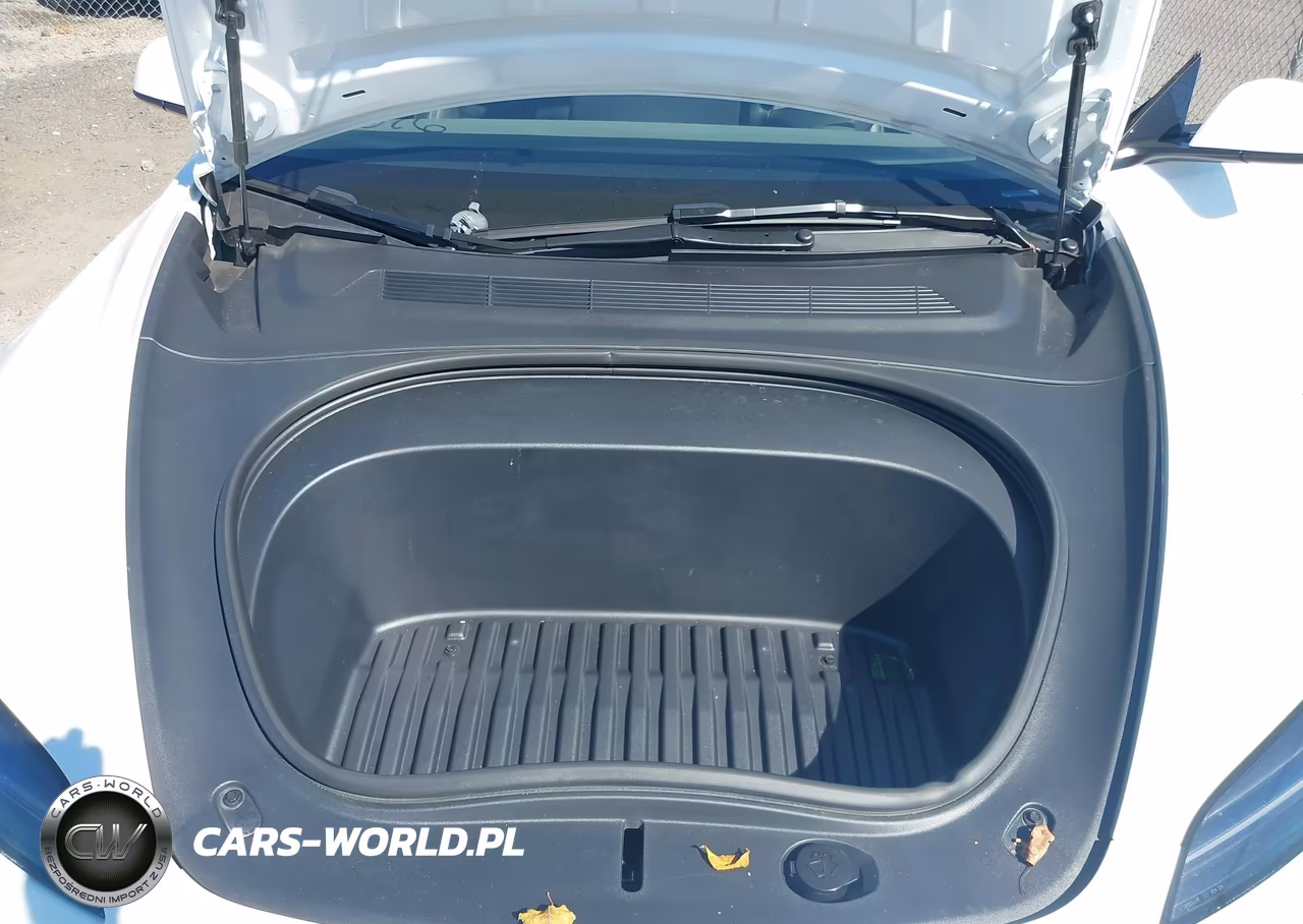 2025 Tesla Model 3 Long Range Rear-Wheel Drive-Standard Rear-Wheel Drive VIN:5YJ3E1EA3SF010354 - 10
