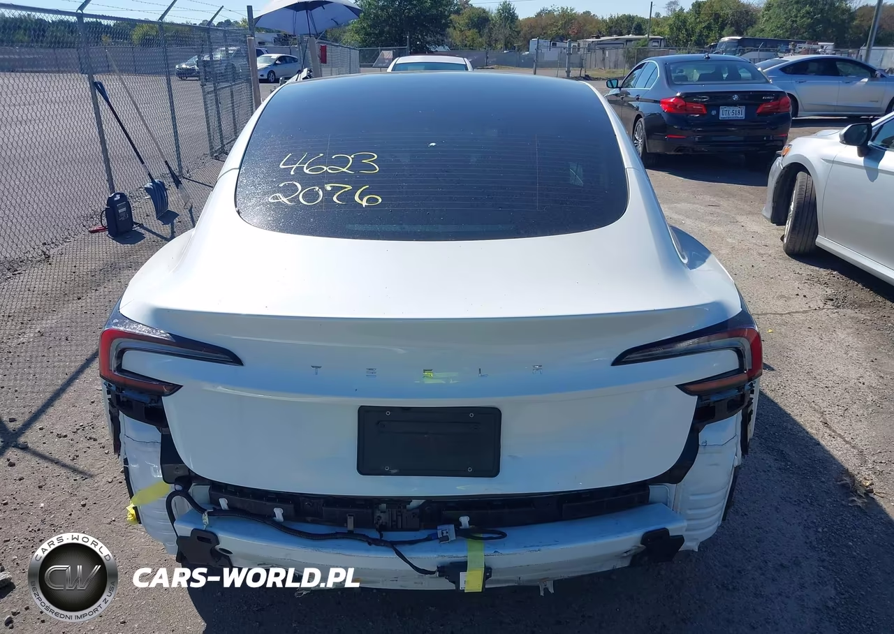 2025 Tesla Model 3 Long Range Rear-Wheel Drive-Standard Rear-Wheel Drive VIN:5YJ3E1EA3SF010354 - 17