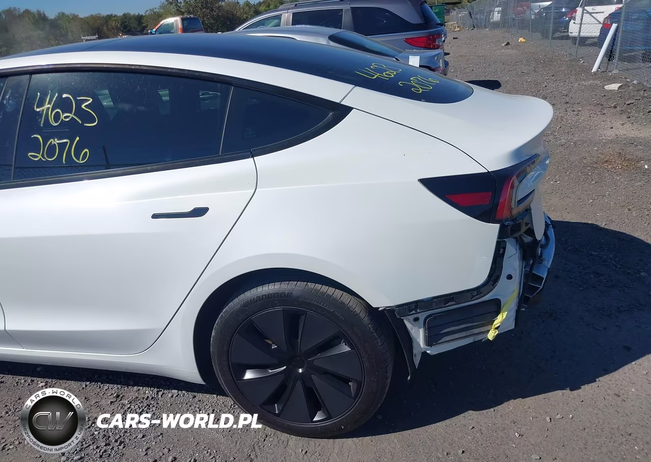 2025 Tesla Model 3 Long Range Rear-Wheel Drive-Standard Rear-Wheel Drive VIN:5YJ3E1EA3SF010354 - 6