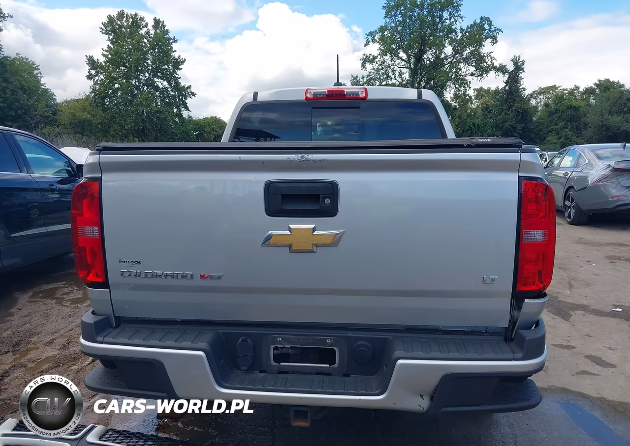 2017 Chevrolet Colorado Lt VIN:1GCGTCEN8H1163478 - 16