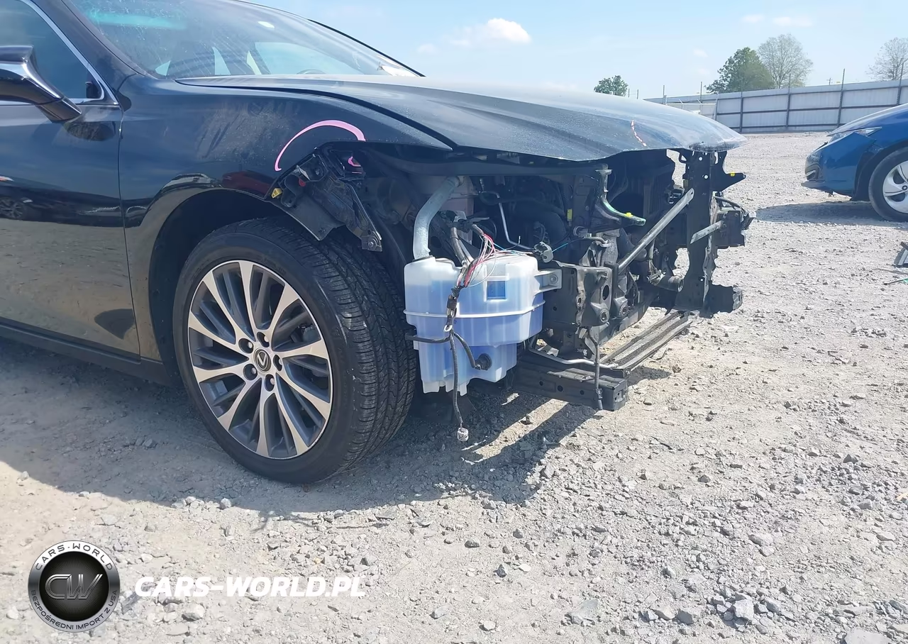 2021 Lexus Es 350 VIN:58ADZ1B12MU110960 - 19