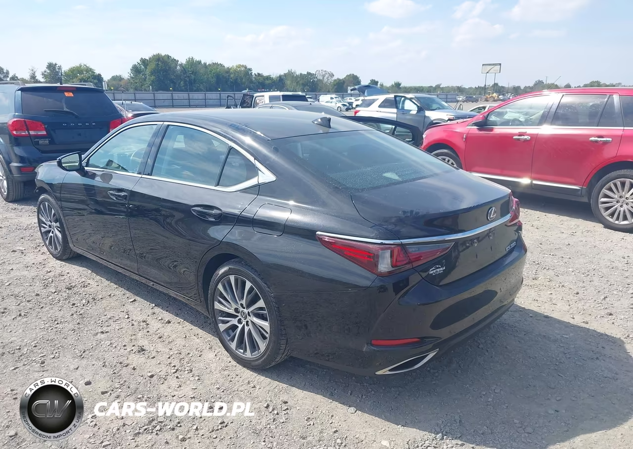 2021 Lexus Es 350 VIN:58ADZ1B12MU110960 - 3