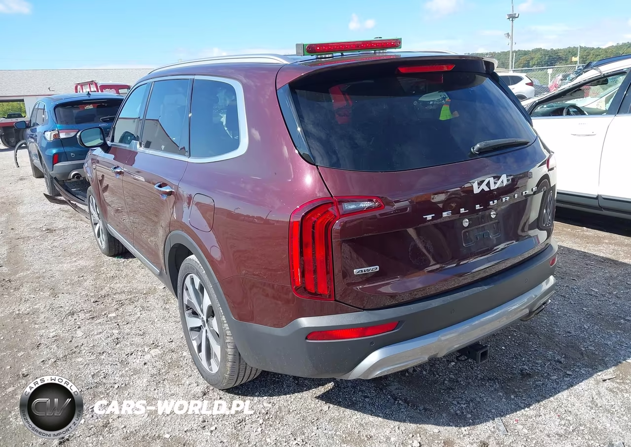 2022 Kia Telluride S VIN:5XYP6DHC3NG200682 - 3