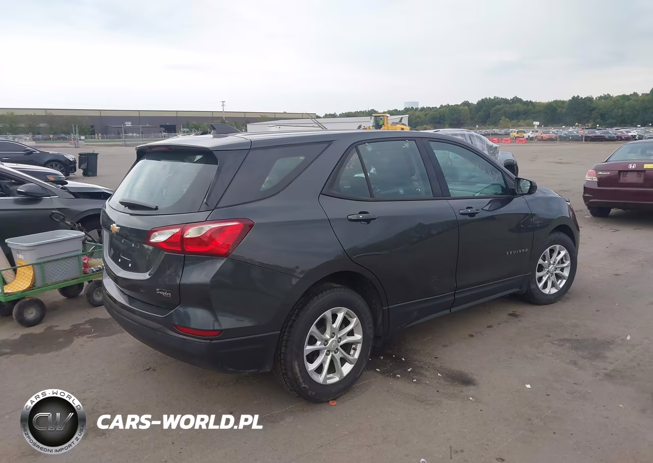 2019 Chevrolet Equinox Ls VIN:2GNAXHEV3K6153041 - 4